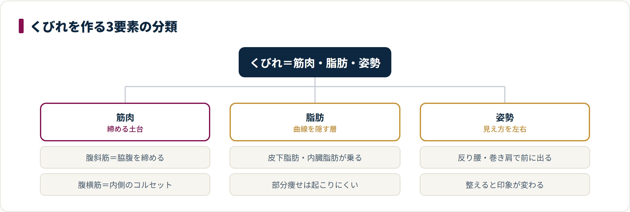 くびれを筋肉（腹斜筋・腹横筋）、脂肪（皮下脂肪・内臓脂肪）、姿勢（反り腰・巻き肩）の3要素に分類した図