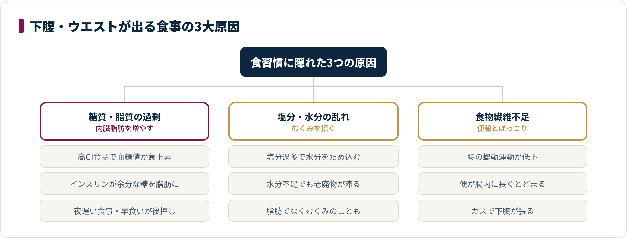 下腹が出る原因を糖質脂質過多・塩分むくみ・食物繊維不足の3つに整理した図。