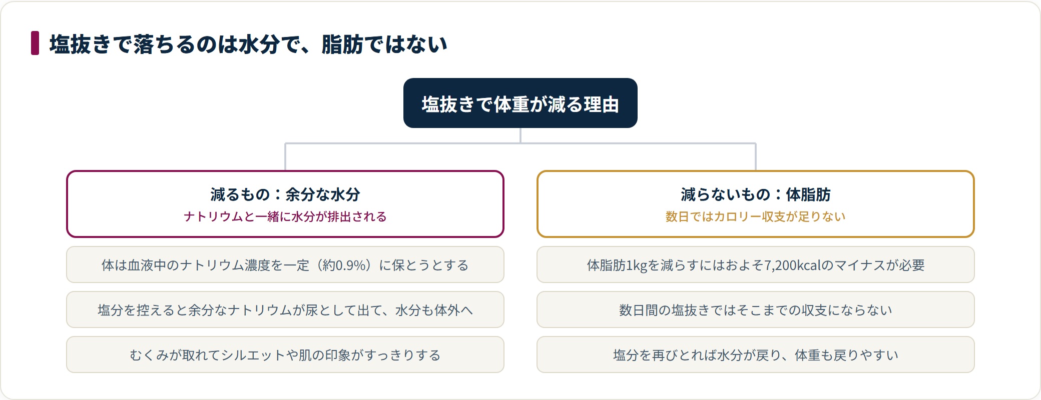 塩抜きダイエットで減るのは余分な水分であり体脂肪ではないことを、仕組みで2つに分けて示した図。