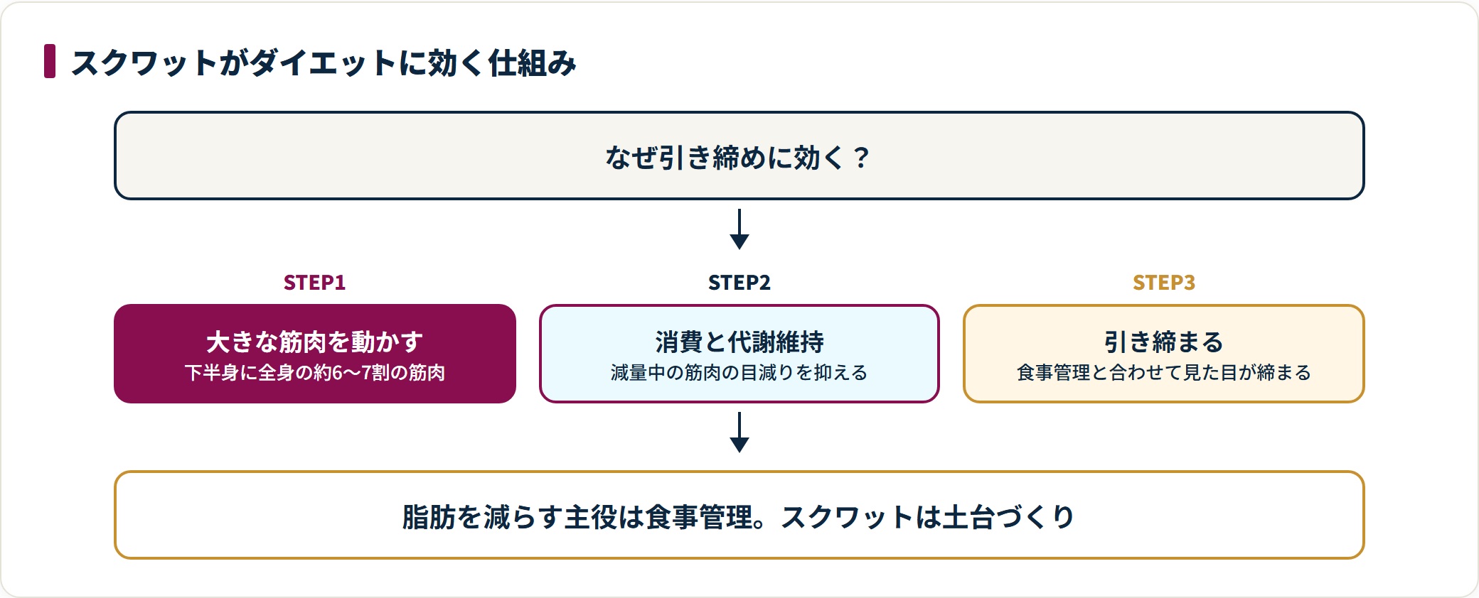 スクワットが効く仕組みを、大きな筋肉を動かす・消費と代謝維持・引き締めの3段階で示した図