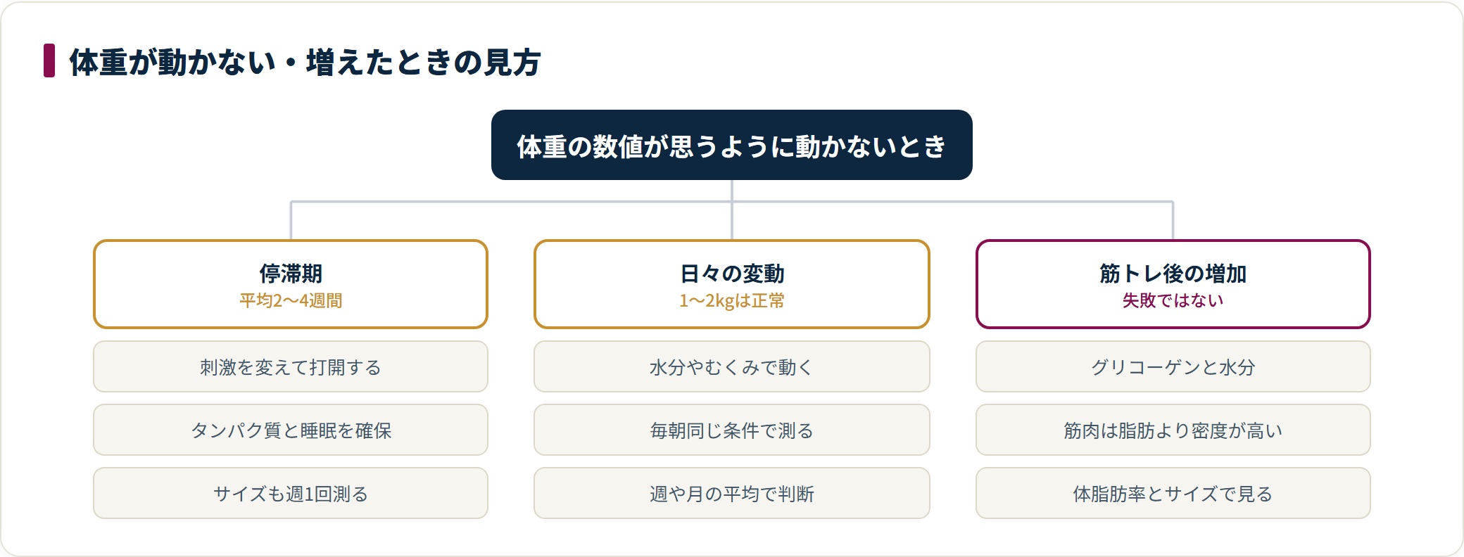 体重が減らない・増えた原因を、停滞期・日々の水分変動・筋トレによる増加の3つに切り分けて整理した図。