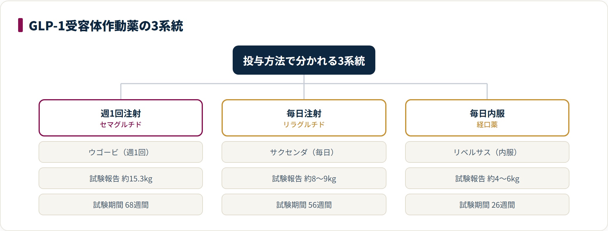 GLP-1受容体作動薬を週1回注射・毎日注射・毎日内服の3系統に分類したツリー図。各系統の代表的な薬剤名と、臨床試験で報告された平均体重減少および試験期間の目安を示している。数値は平均値で個人差がある。
