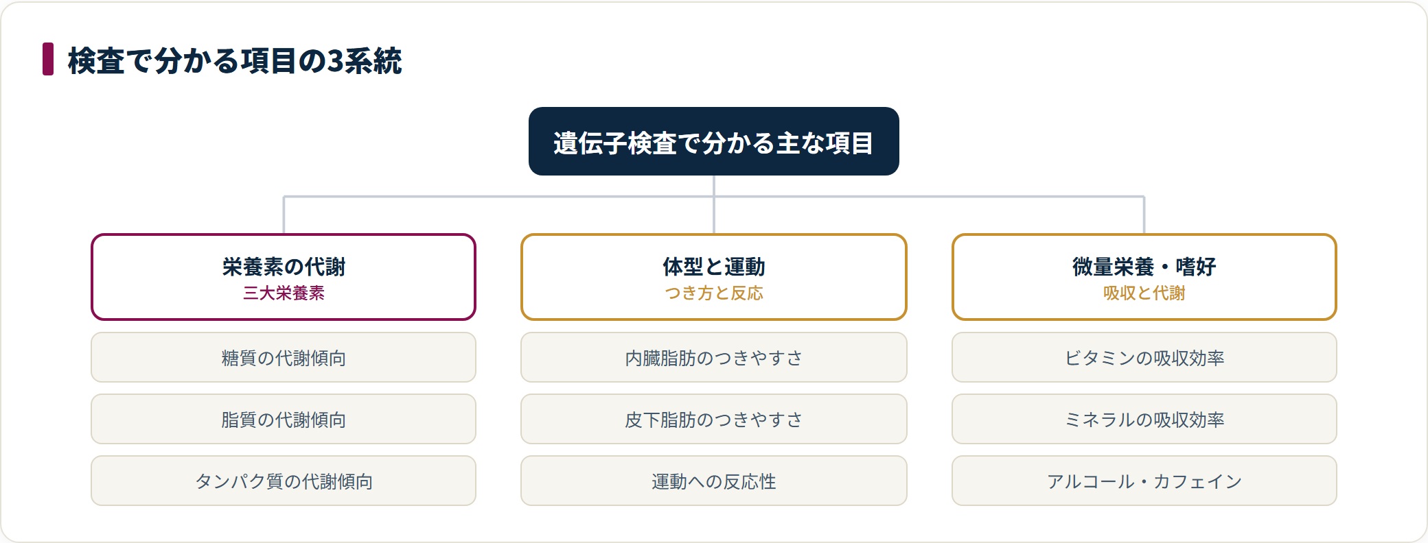 遺伝子検査ダイエットで分かる主な項目を、三大栄養素の代謝傾向、脂肪のつきやすさと運動への反応性、ビタミンやミネラルなど微量栄養と嗜好品の代謝という3系統に整理したツリー図。いずれも傾向の推定であることを前提としている。