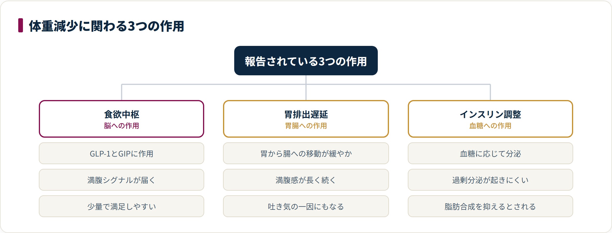 マンジャロの体重減少に関わるとされる3つの作用を整理したツリー図。脳の食欲中枢への作用、胃排出を遅らせる作用、血糖に応じたインスリン調整の3系統と、それぞれの働きを示している。