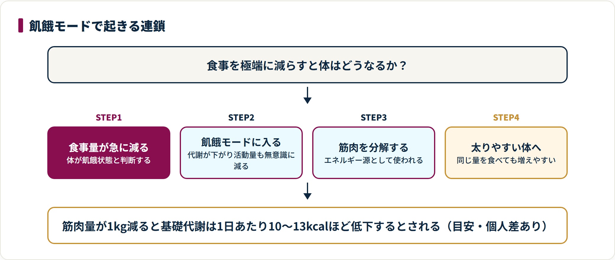 食事量が急に減ると体は飢餓モードに入り、代謝が下がり筋肉を分解して太りやすい状態へ近づく。