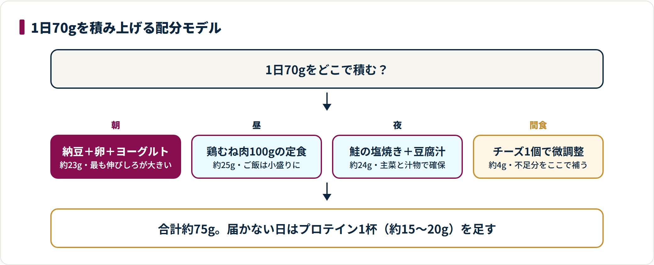 1日のタンパク質70gを朝・昼・夜・間食に振り分けたモデル図。朝に約23g、昼に約25g、夜に約24g、間食に約4gを積み、合計約75gになる配分を示している。