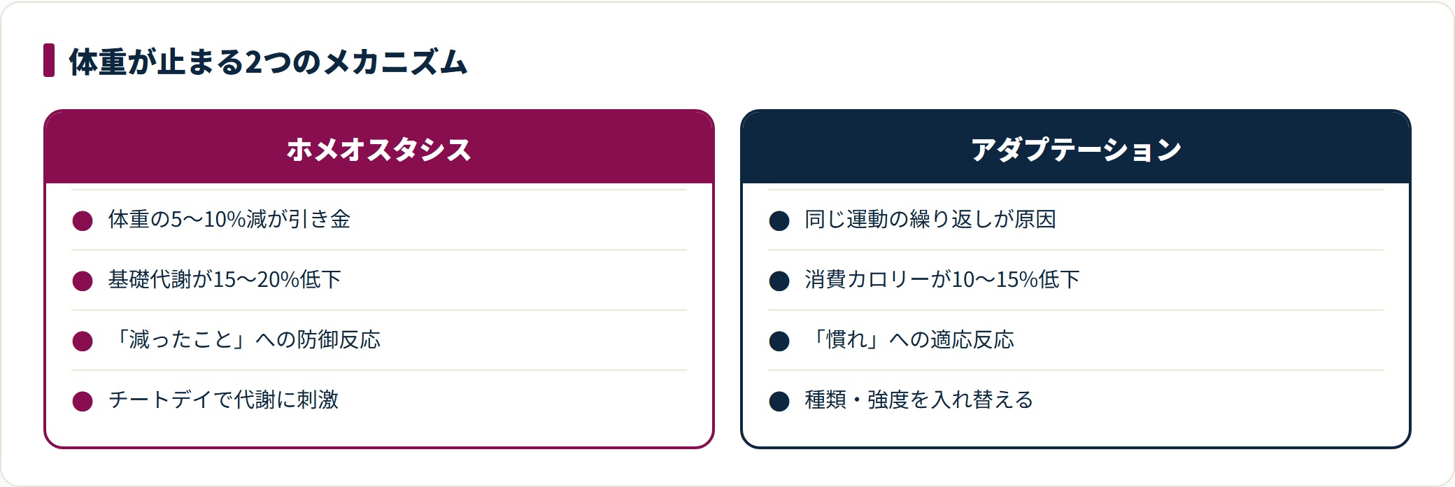 停滞期の原因であるホメオスタシスとアダプテーションを2列で比較した図。引き金・代謝の下がり方・対策の方向が異なることを示している。