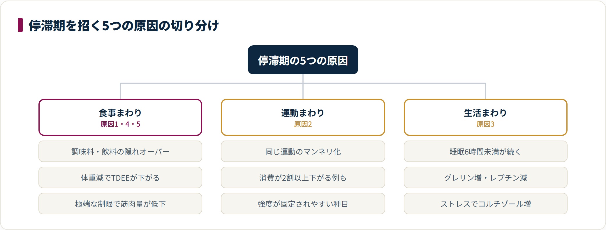 停滞期の5つの原因を食事まわり・運動まわり・生活まわりの3系統に分類したツリー図。自分が当てはまる系統から対策の優先順位を決められる。