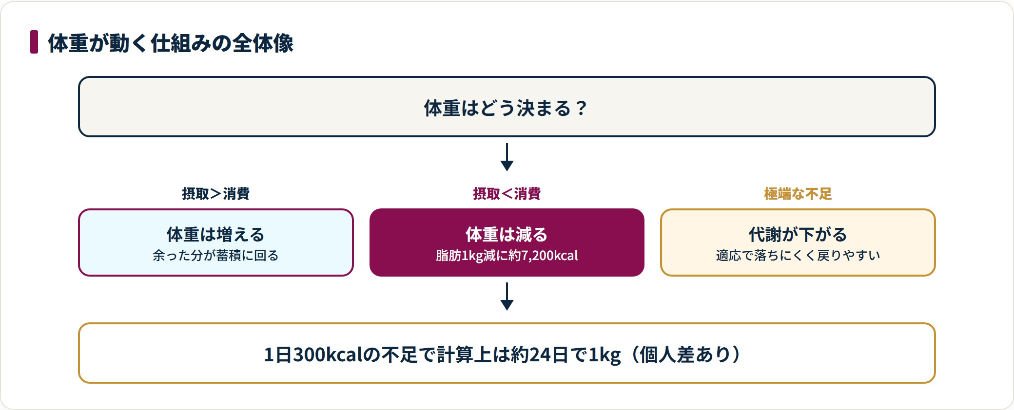 体重の増減を決めるエネルギーバランスを整理した図。摂取が消費を上回れば増え、下回れば減り、脂肪1kgの減少には約7,200kcalの不足が必要で、極端な不足は代謝低下を招くことを示している。